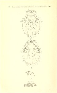 n145_w1150