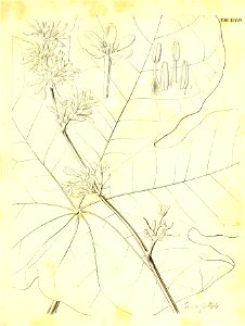 n694_w1150