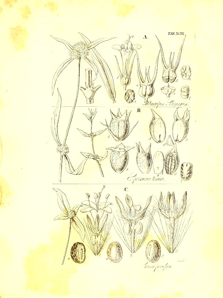 n696_w1150