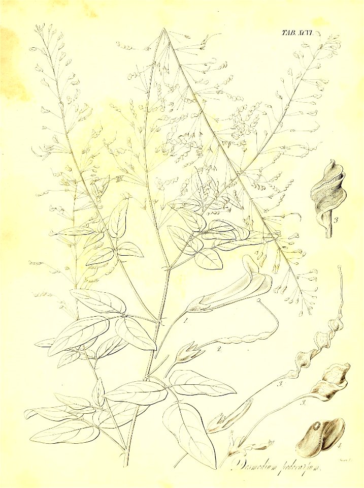 n690_w1150
