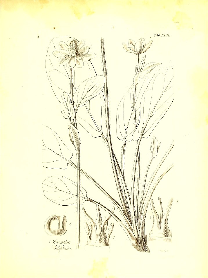 n682_w1150