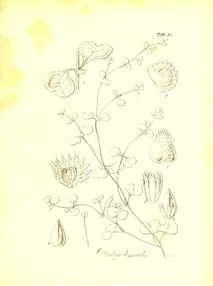 n678_w1150