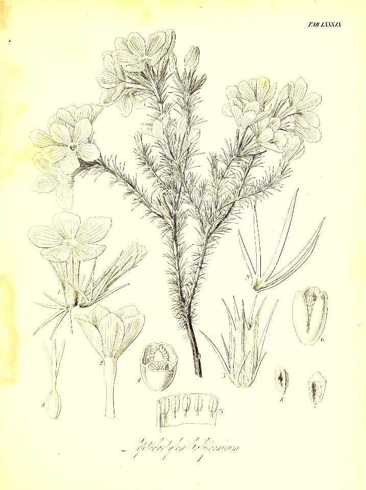 n676_w1150