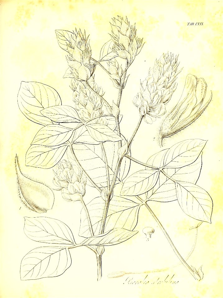 n658_w1150