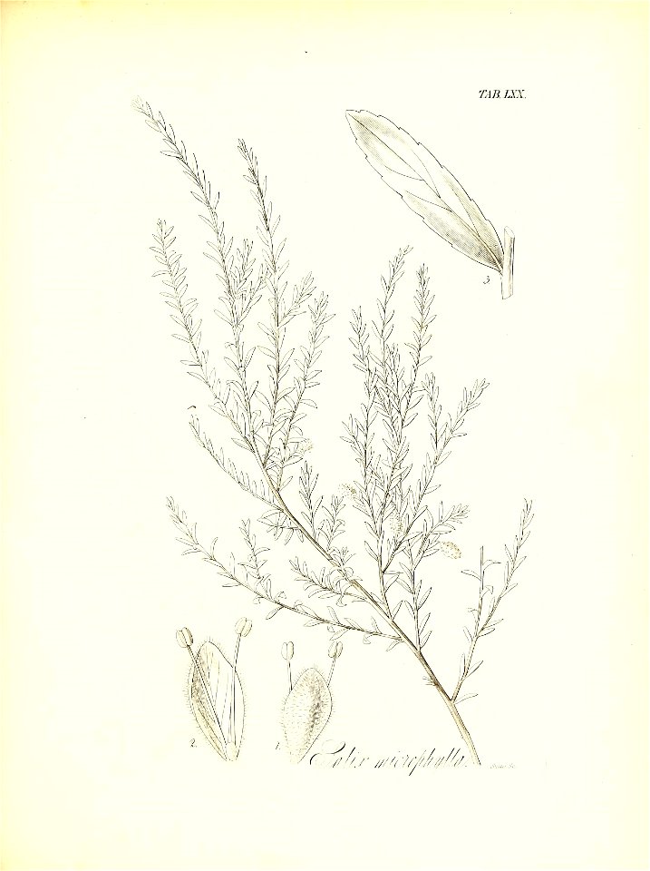 n638_w1150