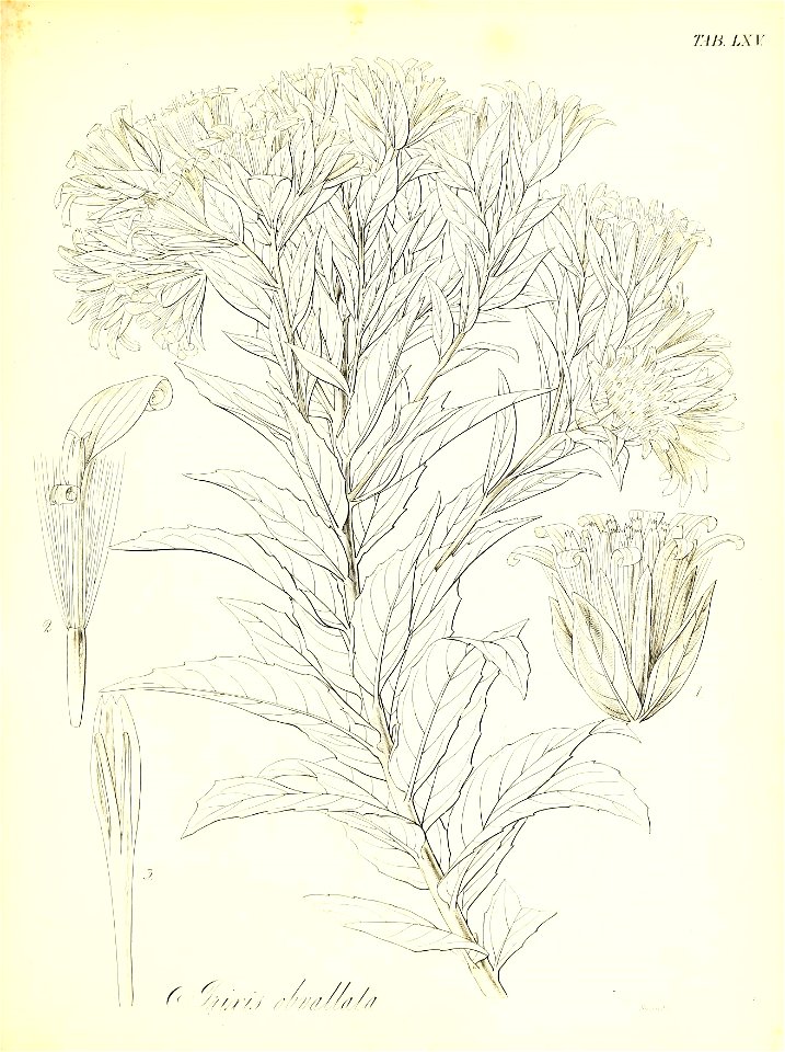 n628_w1150