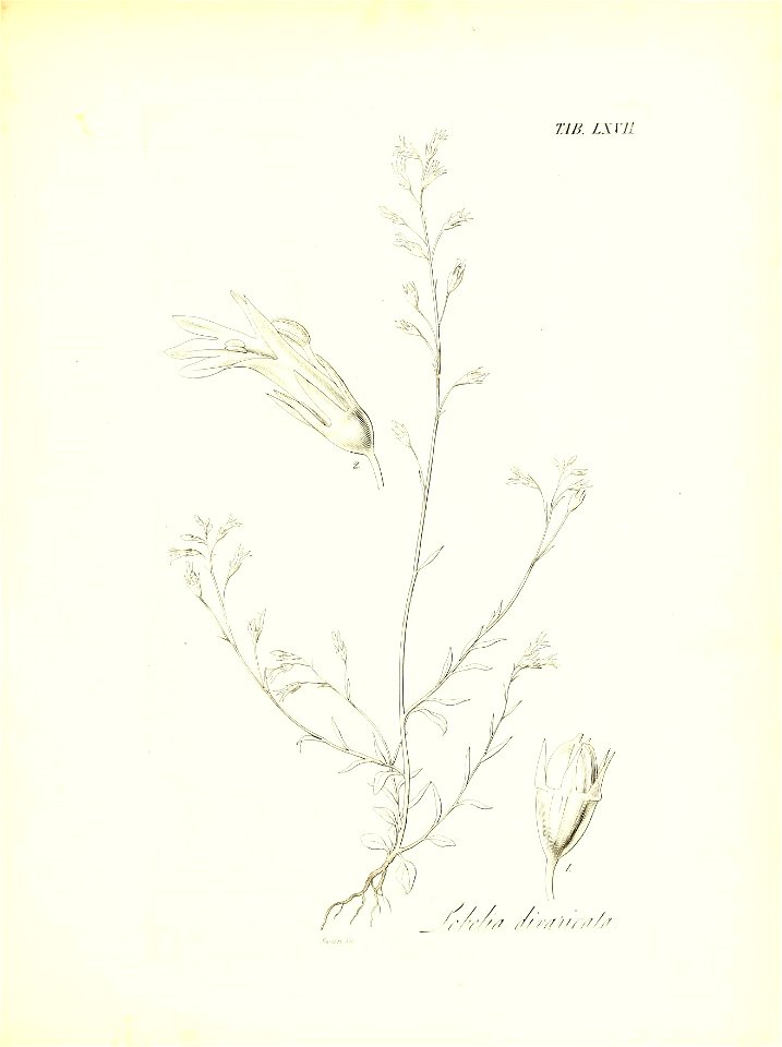 n632_w1150