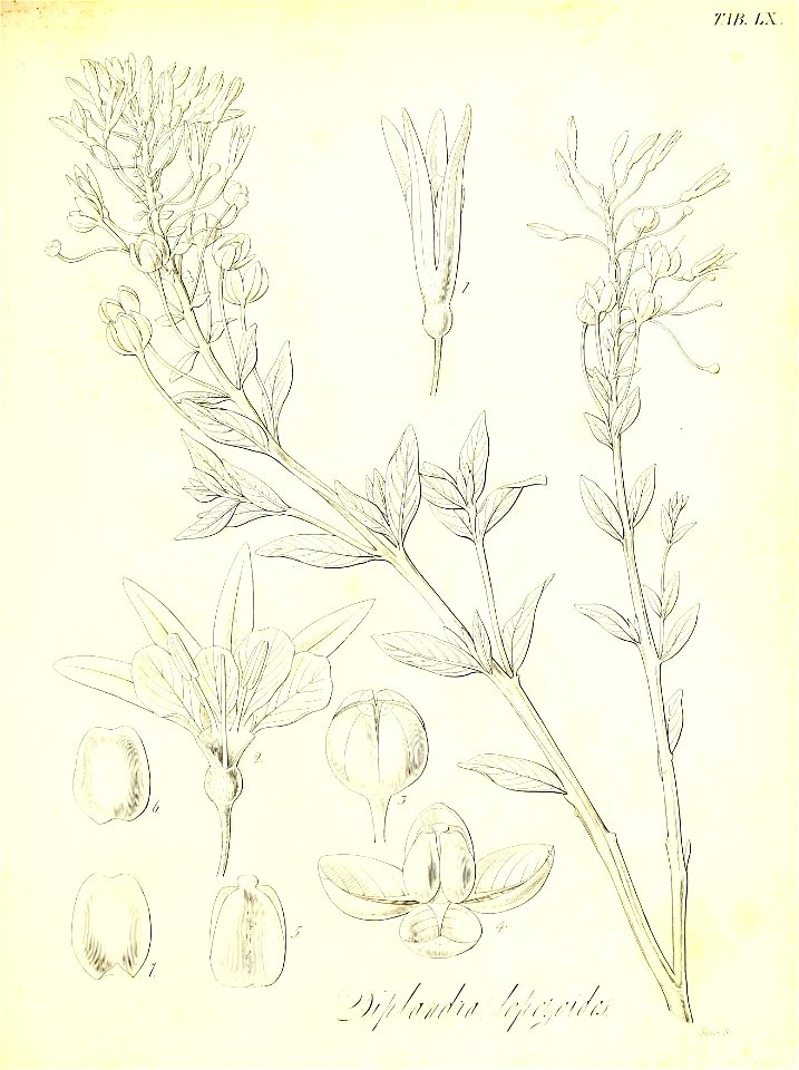 n618_w1150