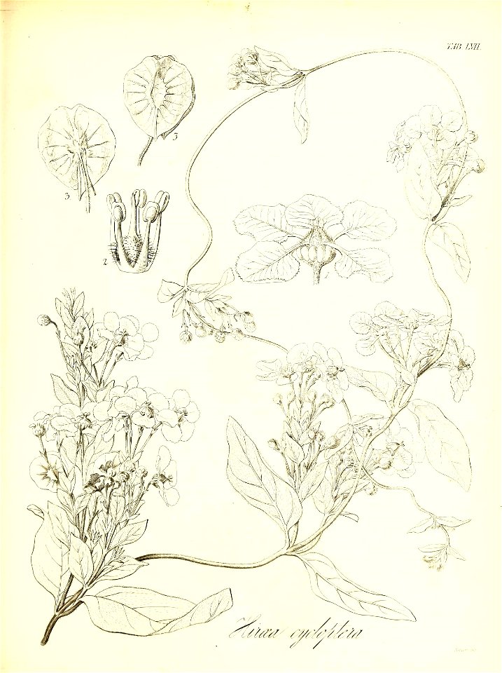n612_w1150