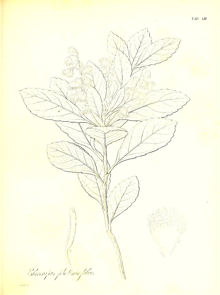 n604_w1150