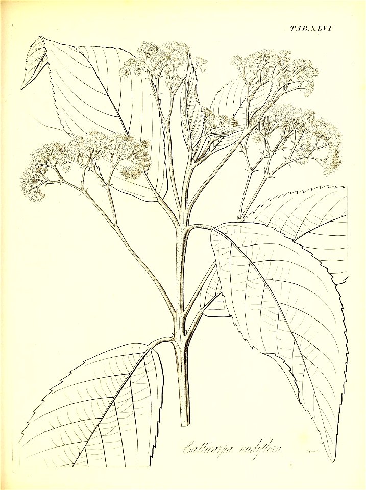n590_w1150