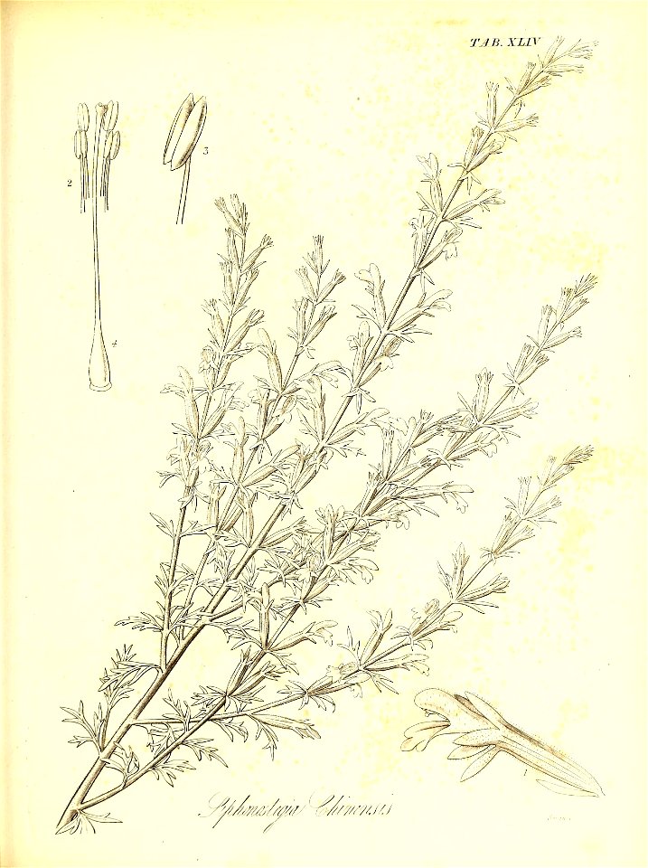 n586_w1150