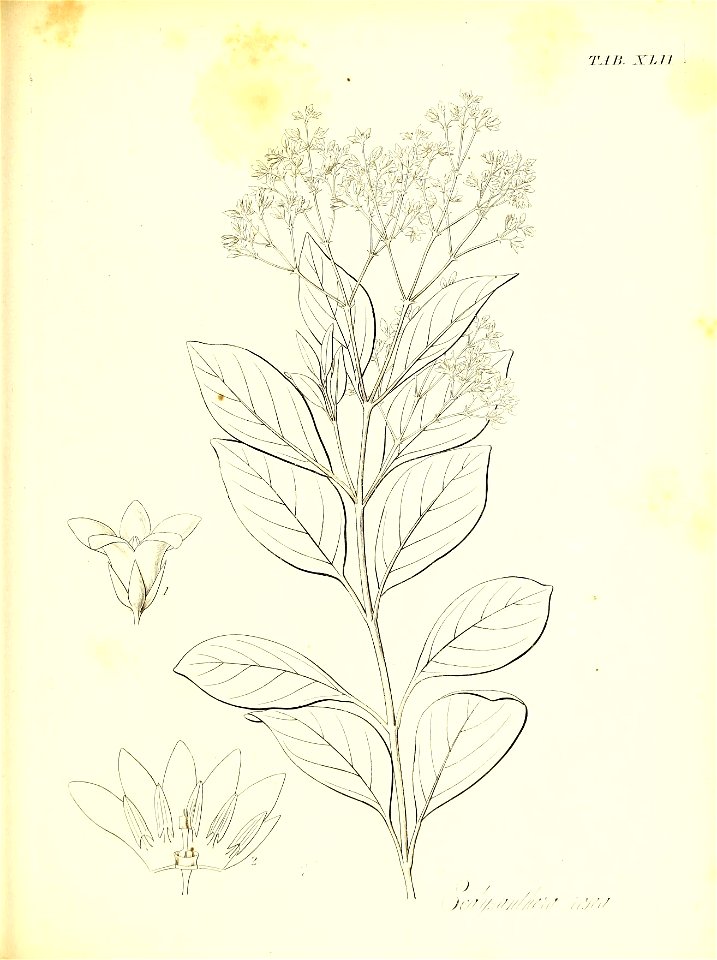 n582_w1150