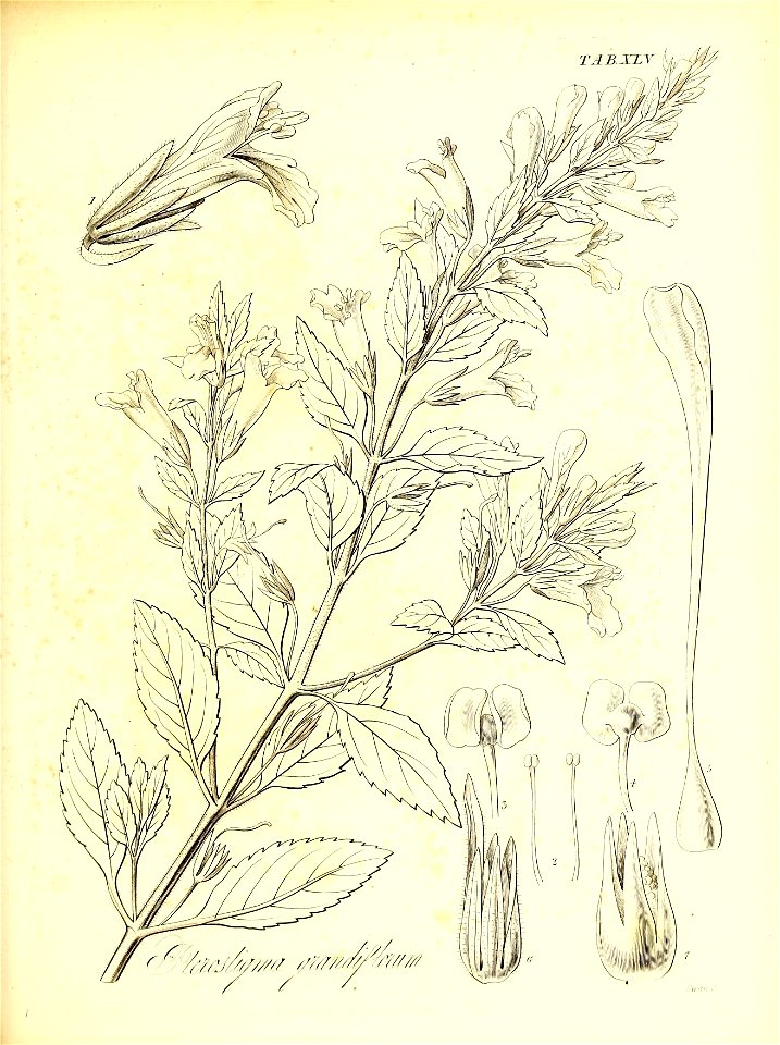 n588_w1150