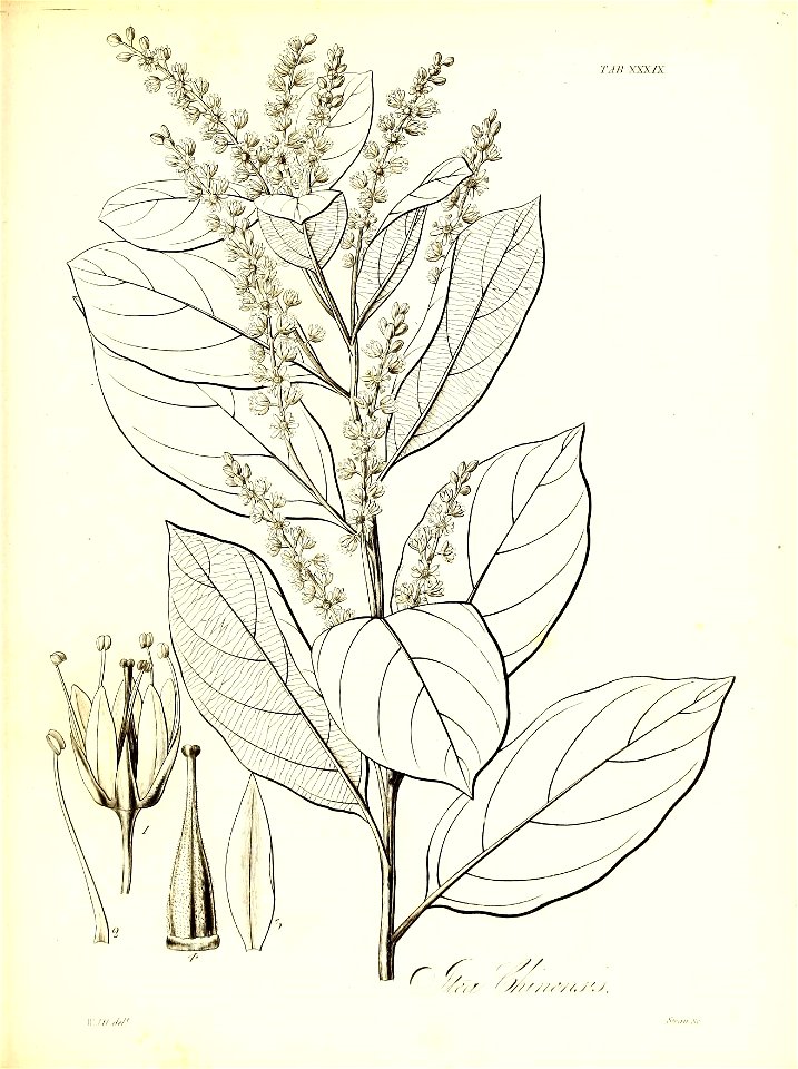 n576_w1150
