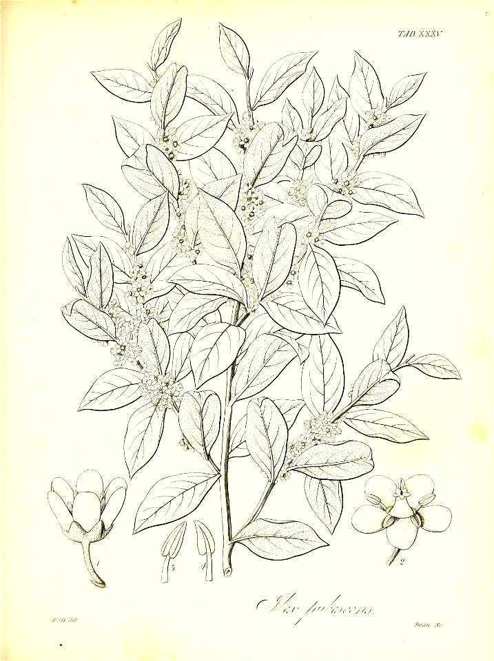 n568_w1150