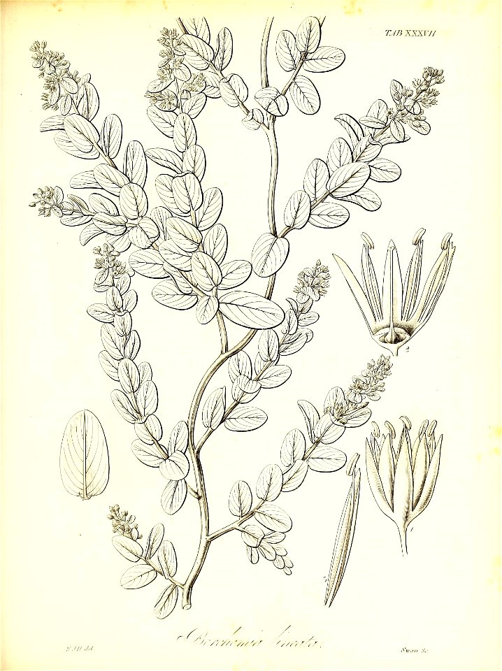 n572_w1150