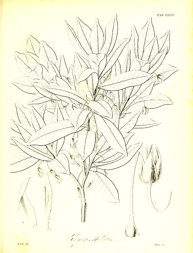 n564_w1150