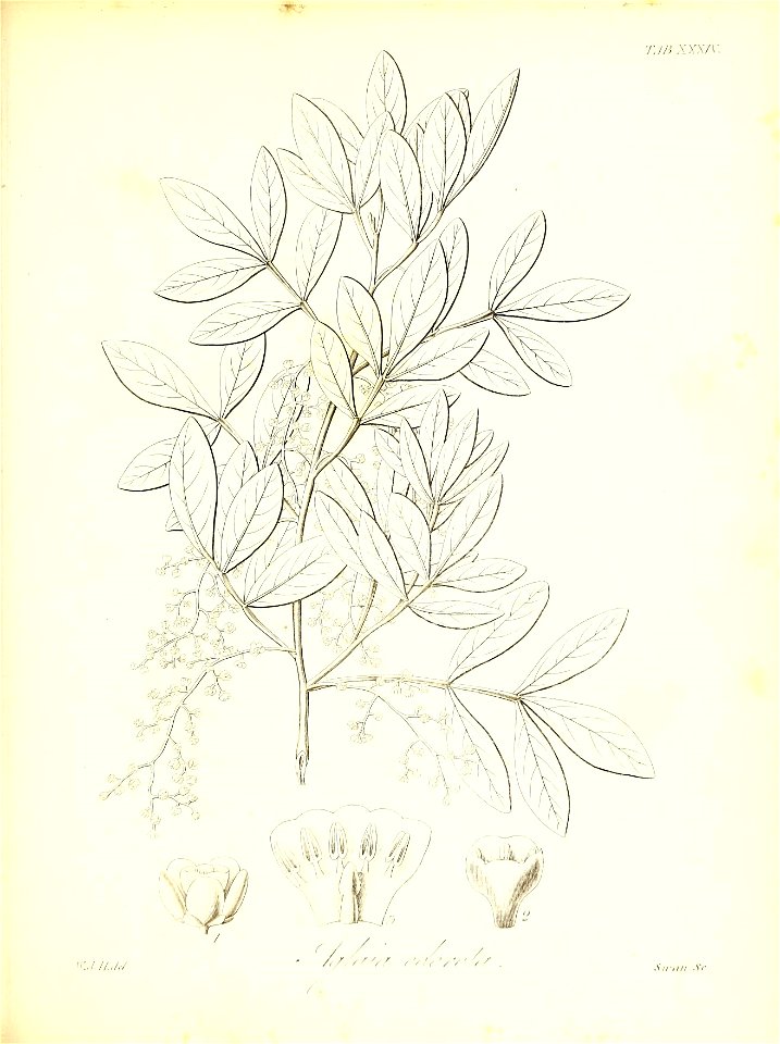 n566_w1150