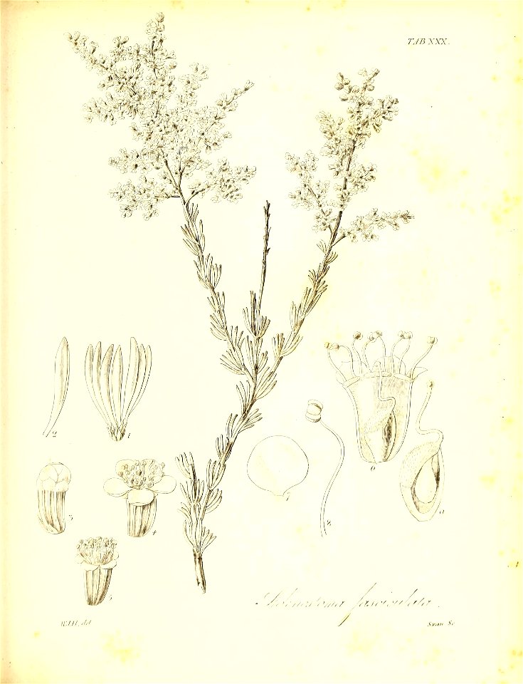 n558_w1150