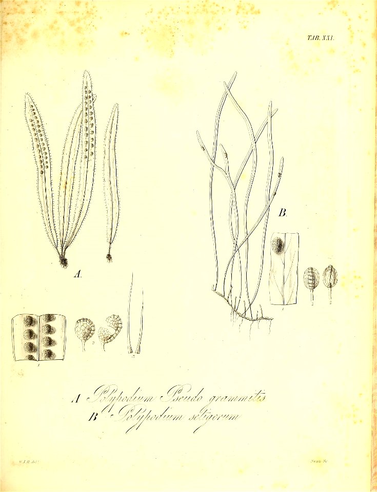 n538_w1150
