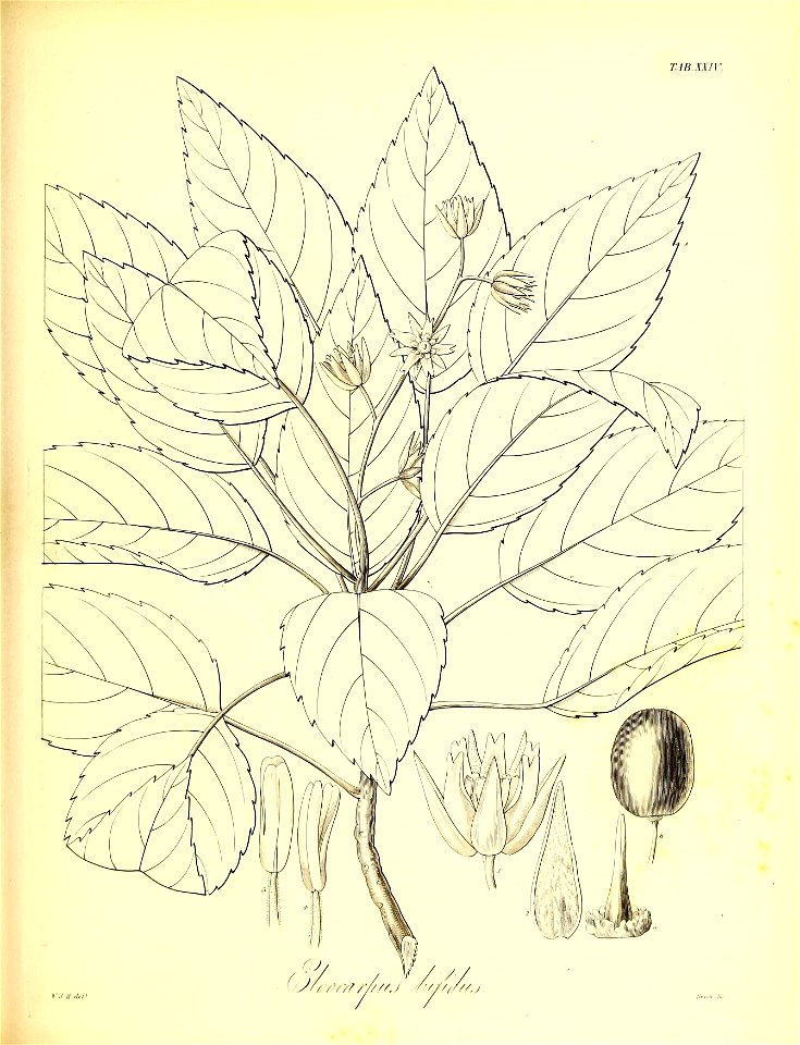 n544_w1150