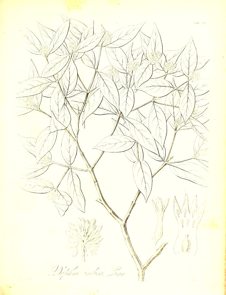 n526_w1150