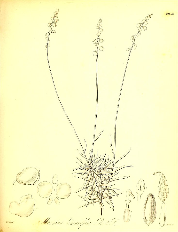 n508_w1150