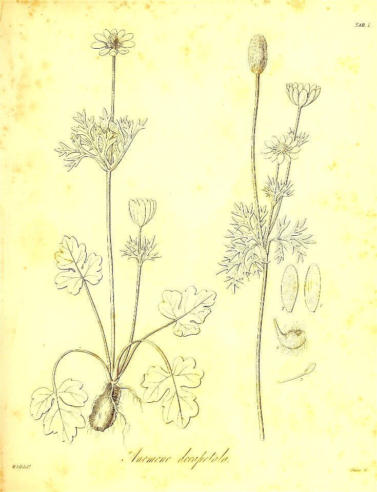 n498_w1150