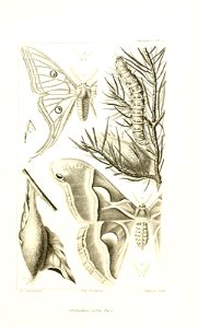 n690_w1150