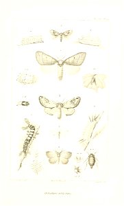 n684_w1150