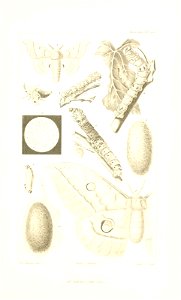 n686_w1150