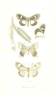 n674_w1150