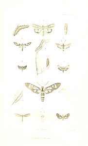 n676_w1150