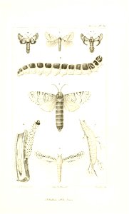 n678_w1150