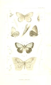 n666_w1150
