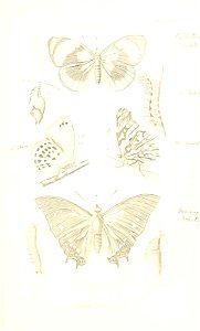n662_w1150