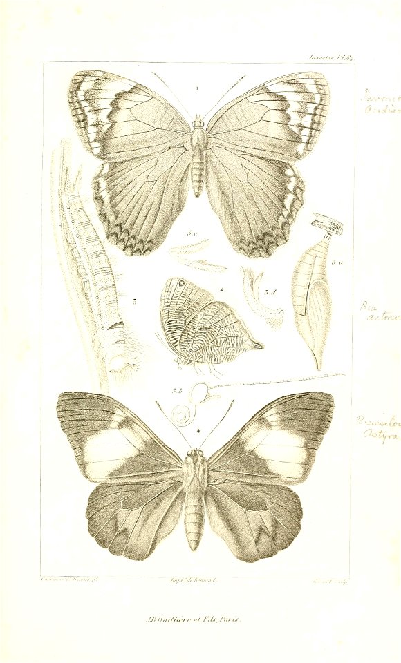 n664_w1150