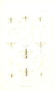 n654_w1150