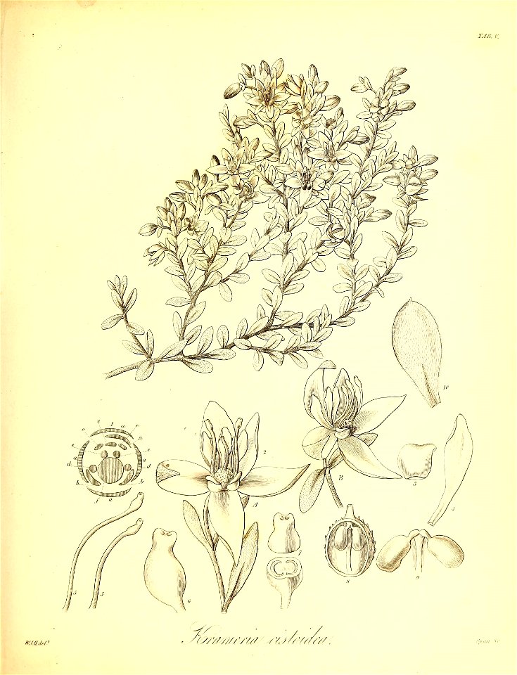n506_w1150