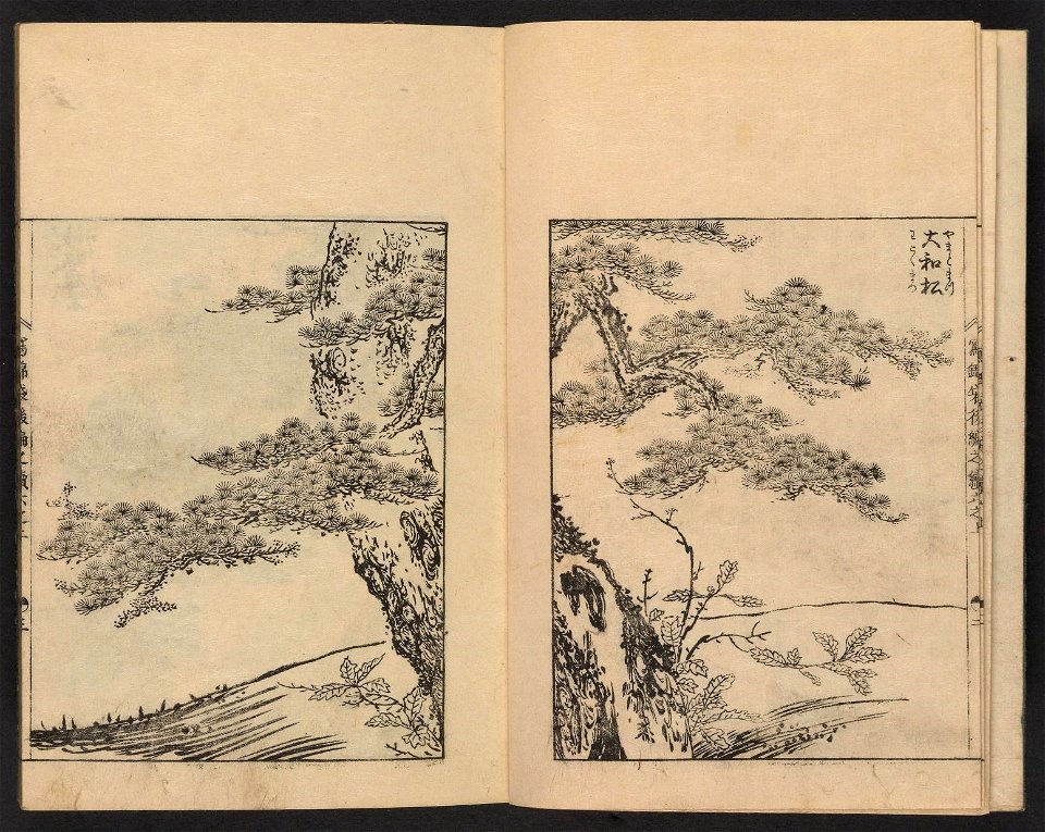 n4_w1150