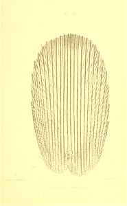 n434_w1150