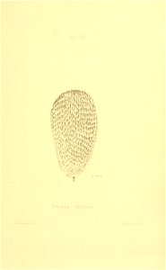n426_w1150