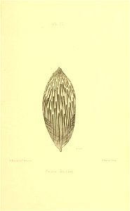 n424_w1150