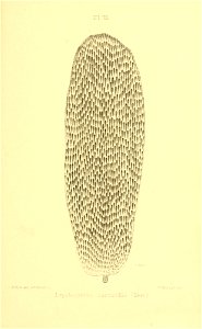 n428_w1150