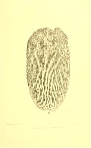 n420_w1150