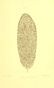 n422_w1150