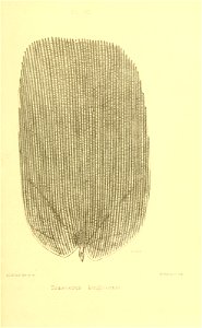 n416_w1150