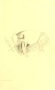 n396_w1150