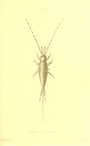 n388_w1150